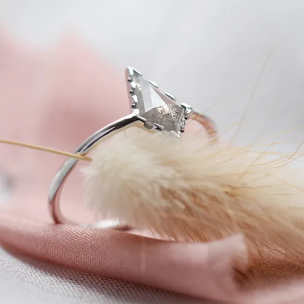 Gold ring with kite salt'n'pepper diamond BILL Image