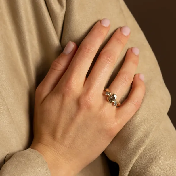 Gold organic ring with salt and pepper diamonds LUDOVICA Image