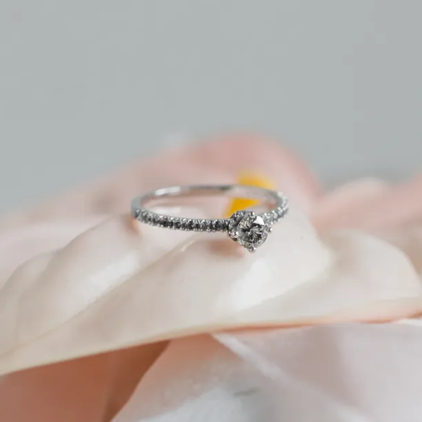 Zlatý prsten s diamanty salt and pepper SANI Image