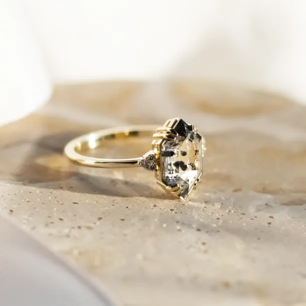 Lab-grown salt and pepper diamond ring PAULI Image