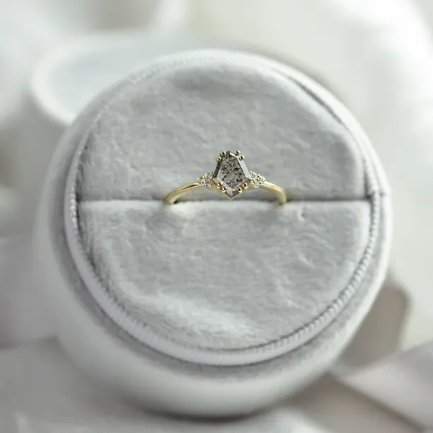 Zásnubní prsten se salt and pepper diamantem a klasickými diamanty VERA Image