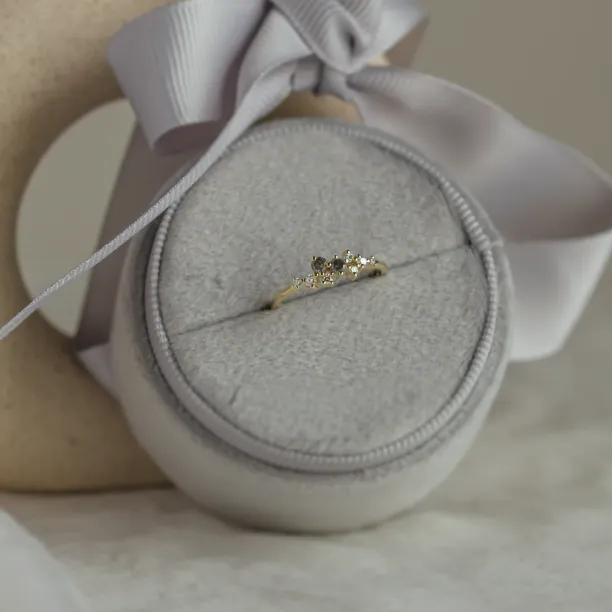 Zlatý prsten s diamanty salt and pepper CLARA Image