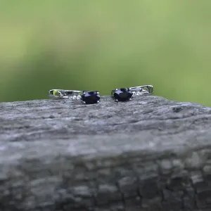 LEANA elegant sapphire rings Thumbnail