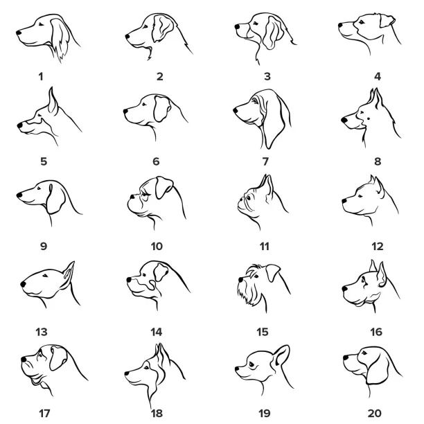 YUM gold diamond pendant for the pet lovers Image