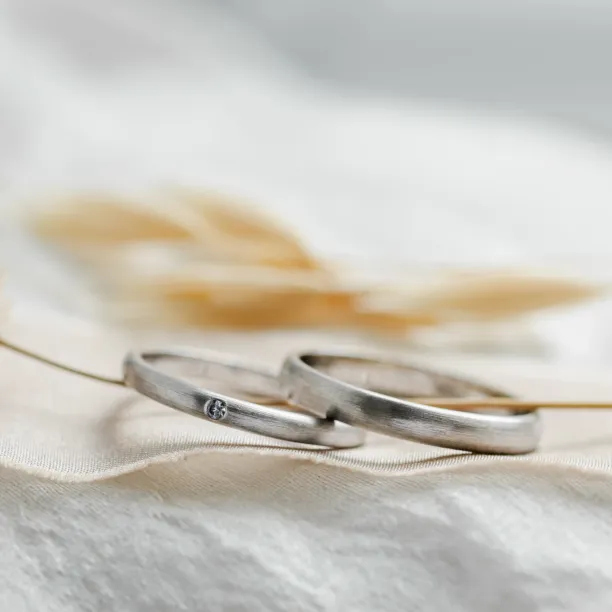 Komfortní matné snubní prsteny s diamantem z bílého zlata IDAHO Image