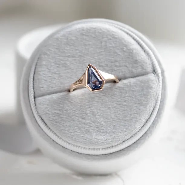 Blue sapphire signet ring PLATON Image
