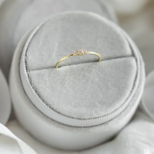 Minimalist ring with lab-grown diamonds HANOI Image