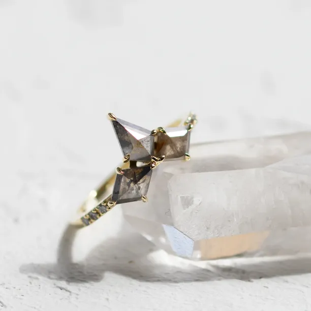 Zlatý prsten s klasickými a salt and pepper diamanty SONYA Image