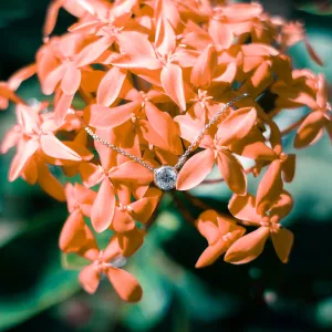 Elegantní zlatý náhrdelník s diamantem NOCK Thumbnail