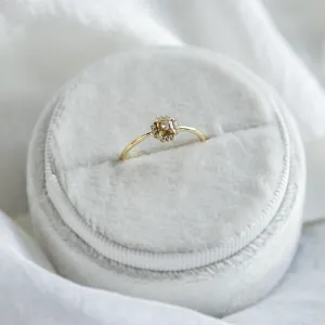 Fancy diamond ring NOBILIS Thumbnail