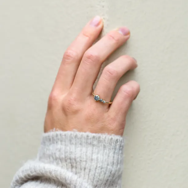 Zlatý prsten se salt and pepper diamantem SUE  Image