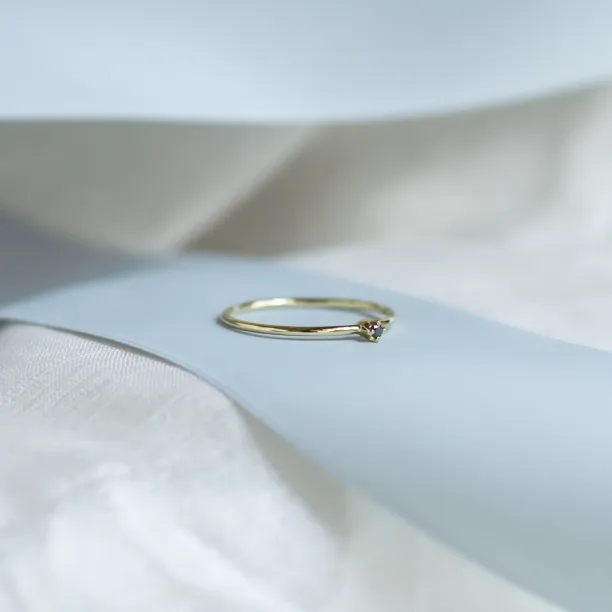 Zlatý minimalistický prsten s černým diamantem BRUNO Image