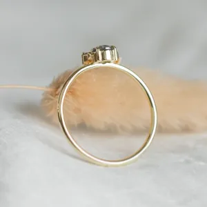 Romantic ring with salt and pepper diamonds DAF Thumbnail