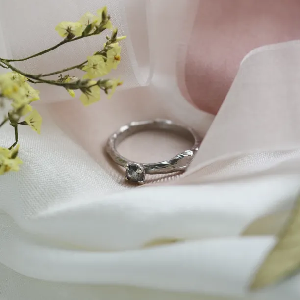 Větvičkový prsten se salt and pepper diamantem DREMO Image