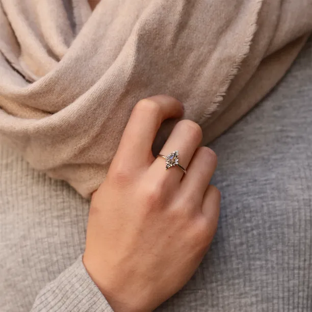 Originální prsten se salt'n'pepper diamanty DOME Image