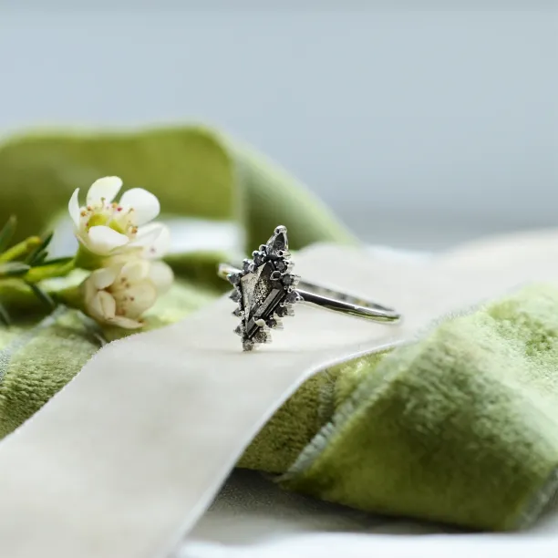 Originální prsten se salt'n'pepper diamanty DOME Image