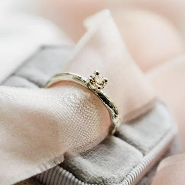 Zlatý větvičkový prsten s morganitem DREMIA Image