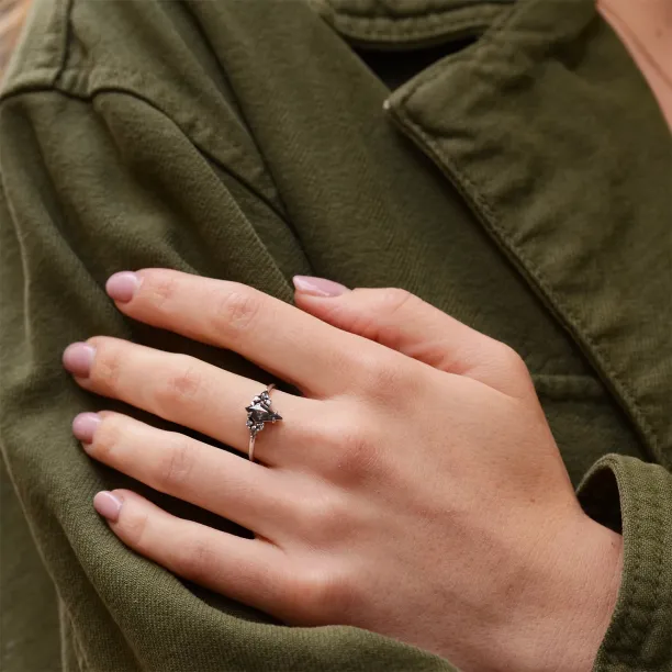 Netradiční prsten s diamanty salt'n'pepper MANSUETO Image