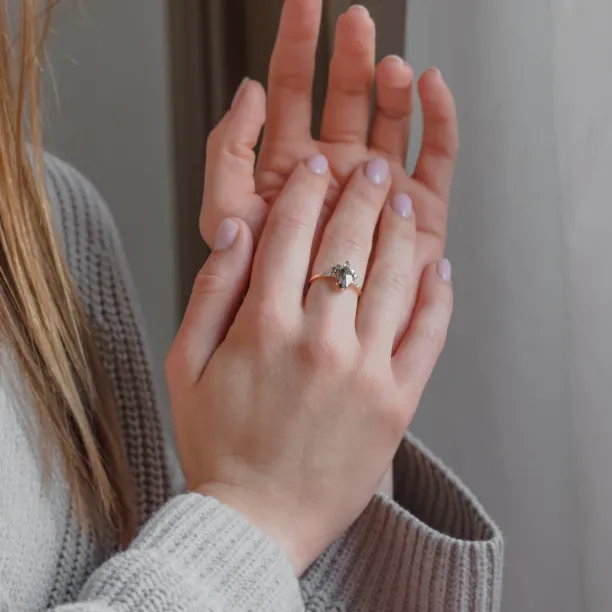 Zlatý cluster prsten se salt'n'pepper diamanty FILOMENA Image