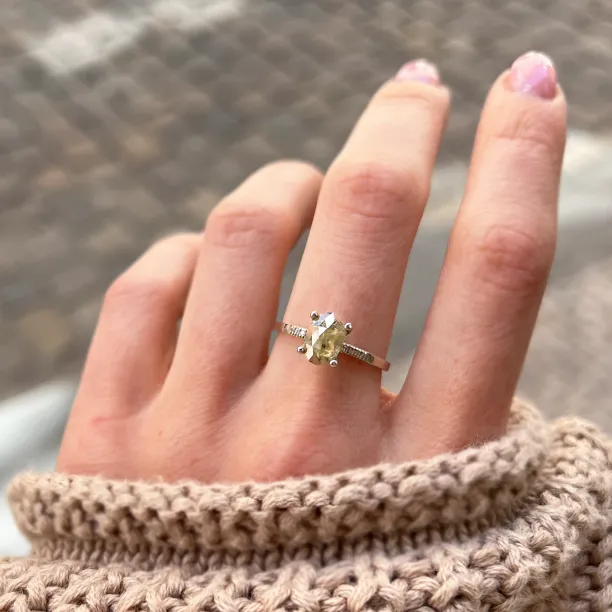 Zlatý zásnubní prsten se salt and pepper diamantem a postranními diamanty AILBHE Image