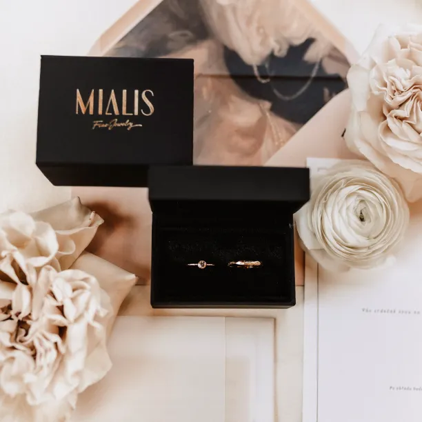 Minimalist engagement ring with salt and pepper diamond AINE Image