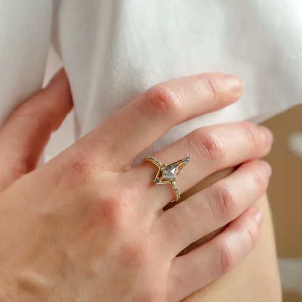 Extravagantní prsten se salt and pepper diamanty SANIA Image