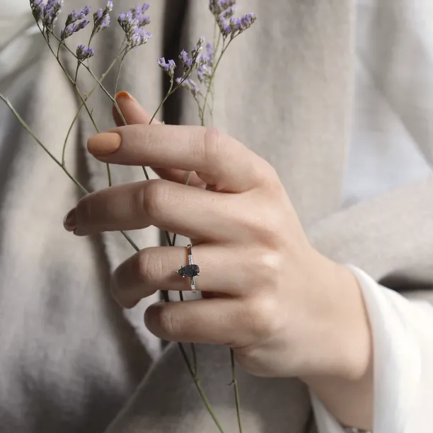 Prsten ze zlata s diamantem salt and pepper a postranními diamanty ROXANE Image