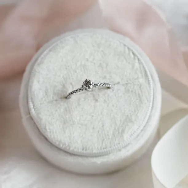 Gold ring with salt and pepper diamonds SANI Image