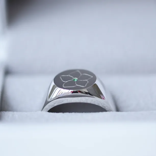 Pánský prsten se smaragdem CLARK Image