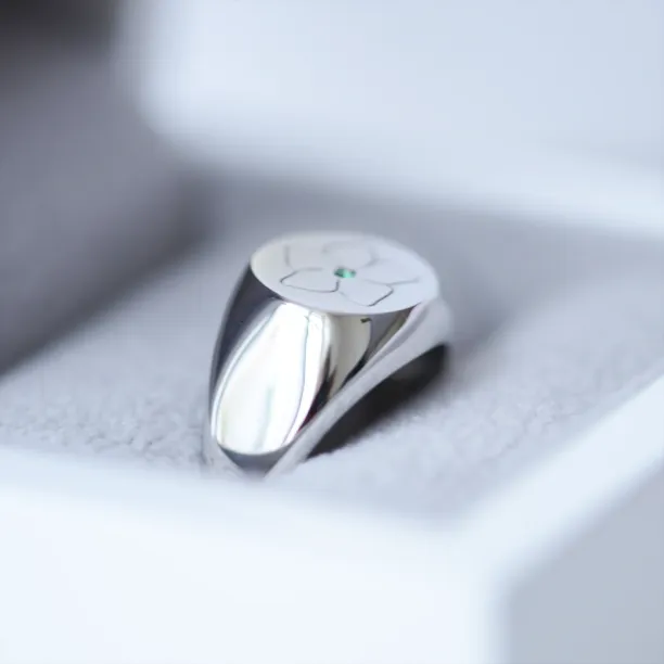 Pánský prsten se smaragdem CLARK Image