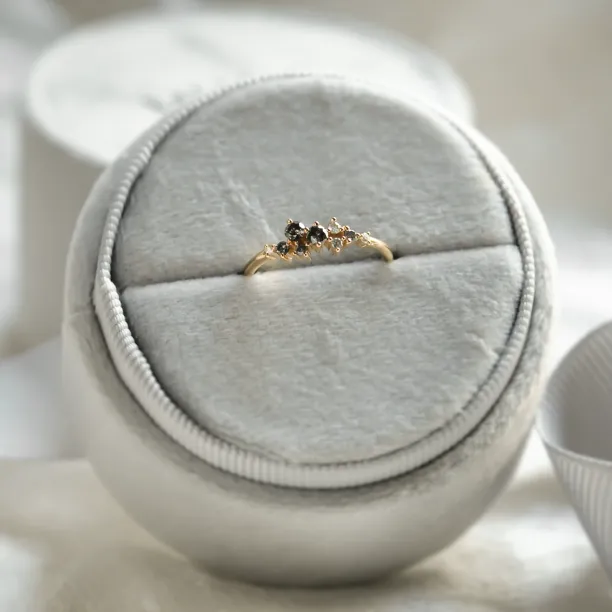 Gold ring with salt and pepper diamonds CLARA Image