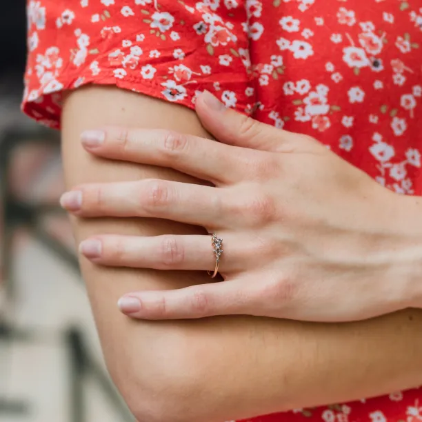 Gold ring with salt and pepper diamonds CLARA Image
