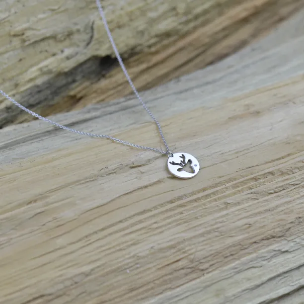 Stylový stříbrný přívěsek s diamantem ANN Image