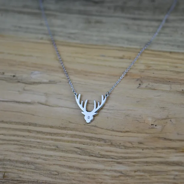 Stříbrný náhrdelník ELIANA s diamantem Image