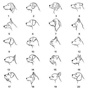 YUM stříbrný diamantový přívěsek pro milovníky zvířat Thumbnail