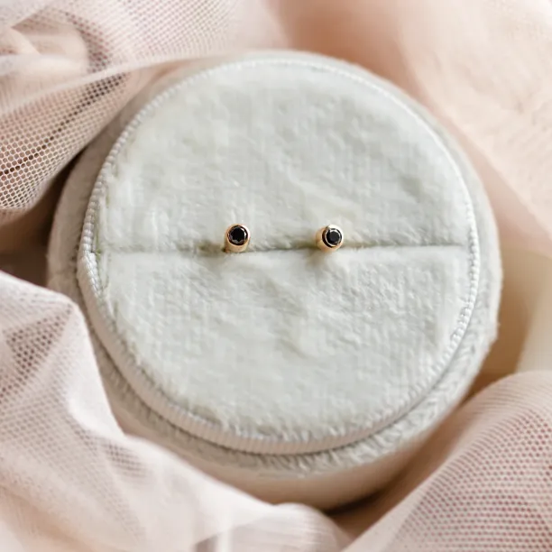 ANY Golden stud earrings with a black diamond Image