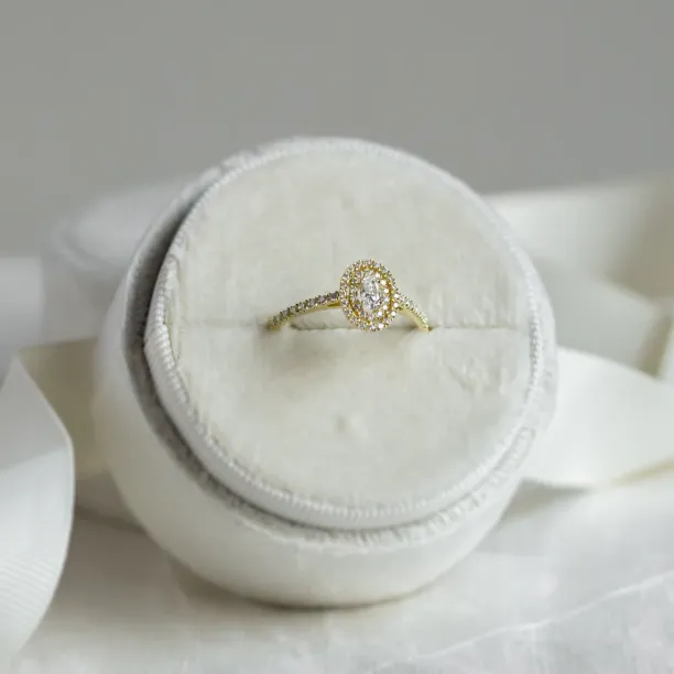 Dvojitý halo zásnubní prsten s diamanty ELSA Image