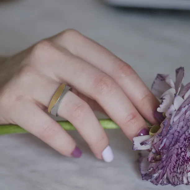 Matné snubní prsteny s diamanty z kombinovaného zlata DIDO Image