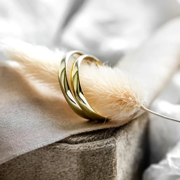 Komfortní snubní prsteny ze žlutého zlata VIRGINIE Image