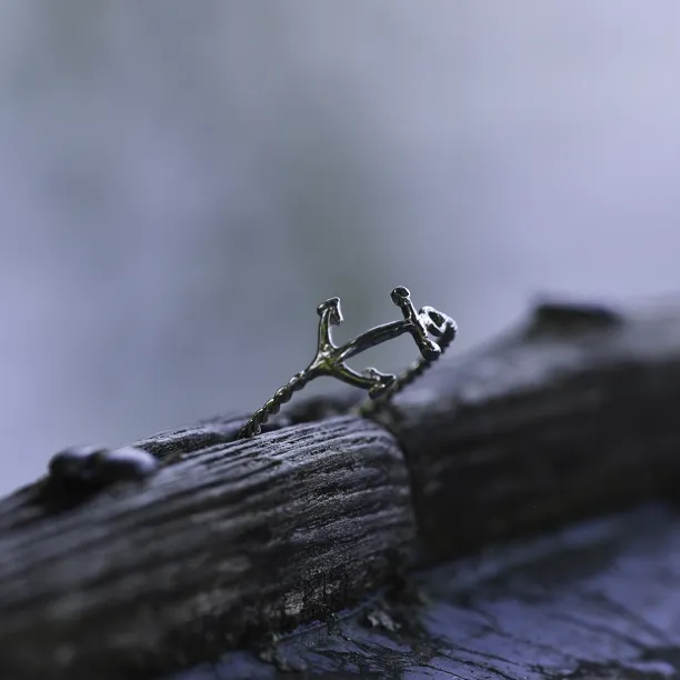 Jednoduchý prsten ze stříbra s kotvou COMFO Image