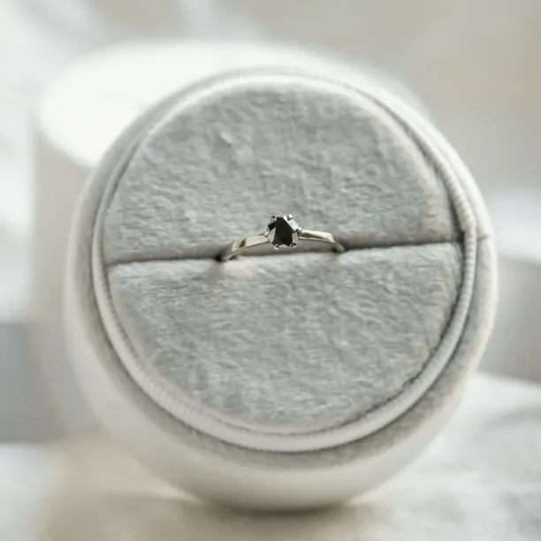 Prsten s černým diamantem a černým rhodiem NEROS Image