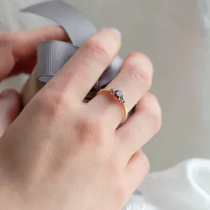 Gold ring with garnet and salt and pepper diamonds DRAGON Thumbnail