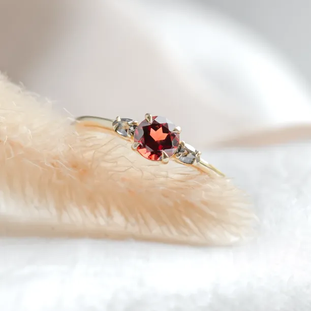 Gold ring with garnet and salt and pepper diamonds DRAGON Image