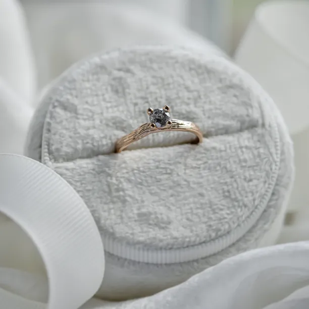 Zlatý větvičkový prsten se salt and pepper diamantem ROWYN Image