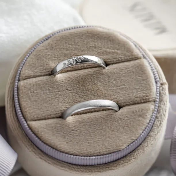 Matte and shiny platinum wedding rings LEOS Image