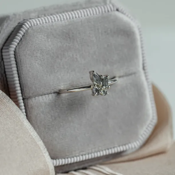 Unusual cluster ring with salt and pepper diamonds TASSIA Image