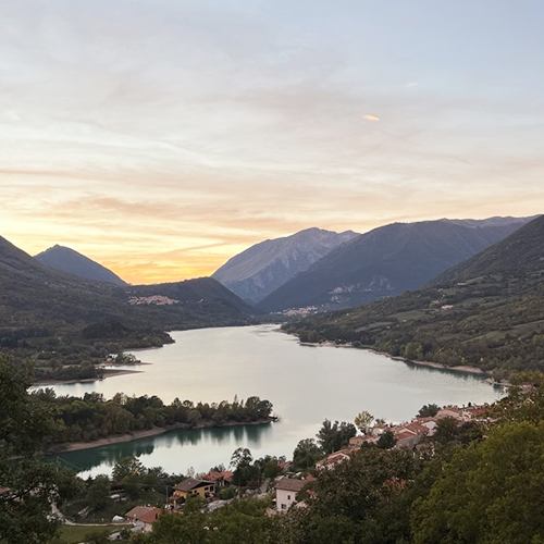 Proposal in nature Mialis